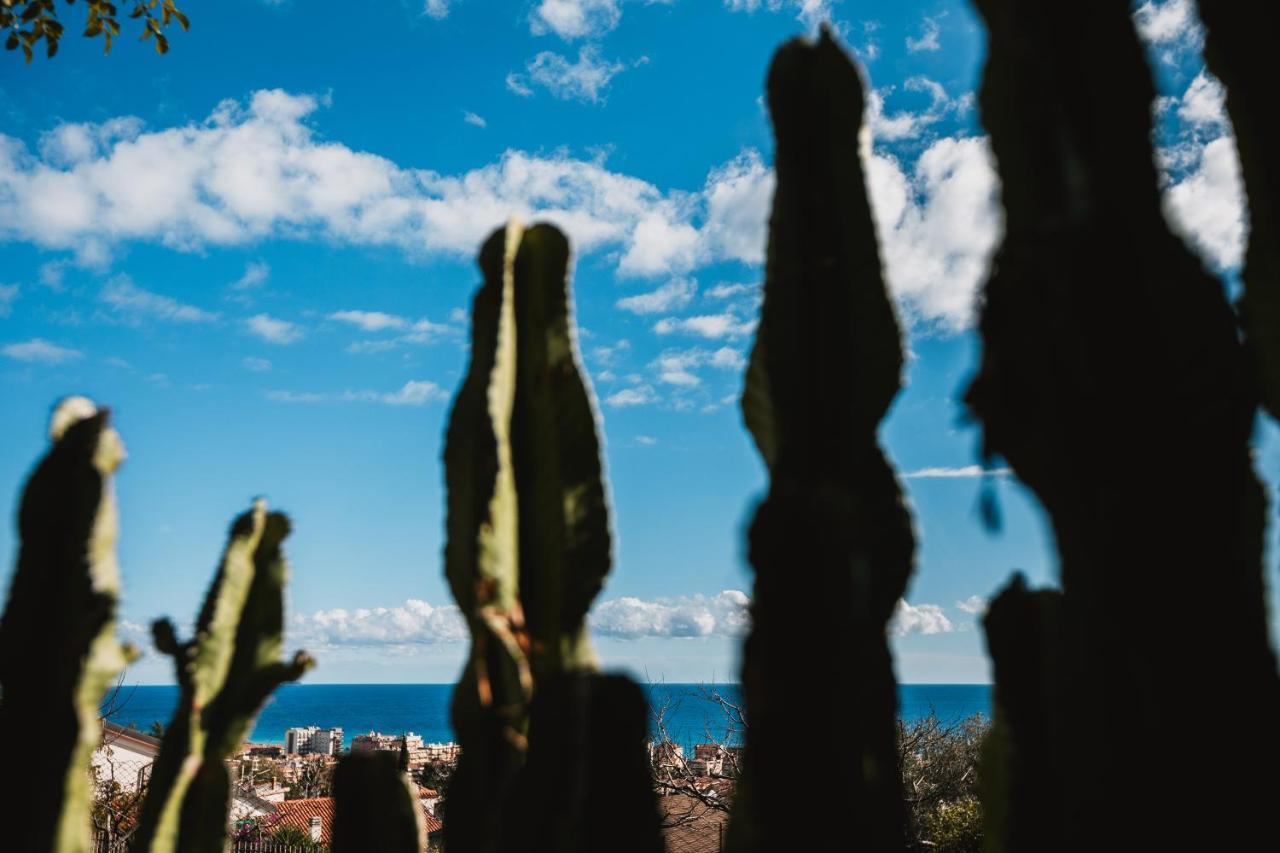Agriturismo Rose Di Pietra ピエトラ・リーグレ エクステリア 写真