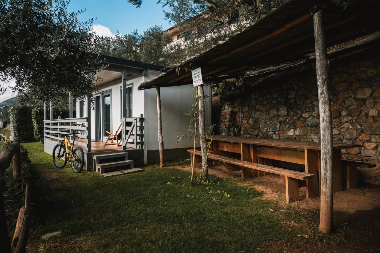 Agriturismo Rose Di Pietra ピエトラ・リーグレ エクステリア 写真