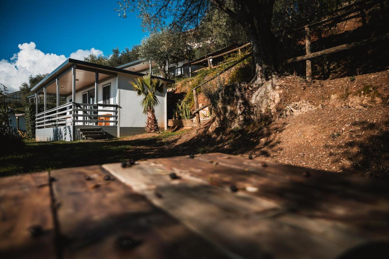 Agriturismo Rose Di Pietra ピエトラ・リーグレ エクステリア 写真