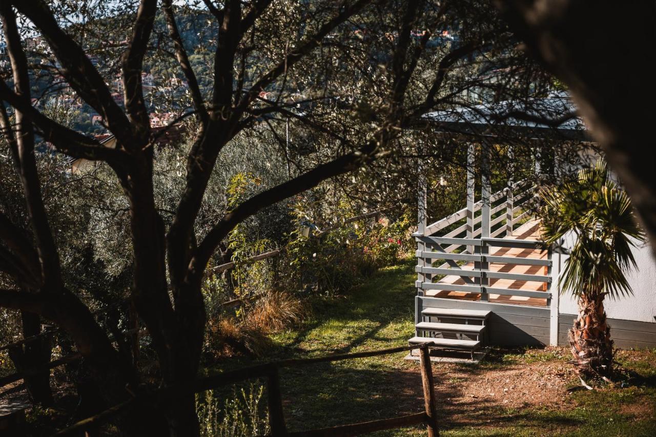 Agriturismo Rose Di Pietra ピエトラ・リーグレ エクステリア 写真