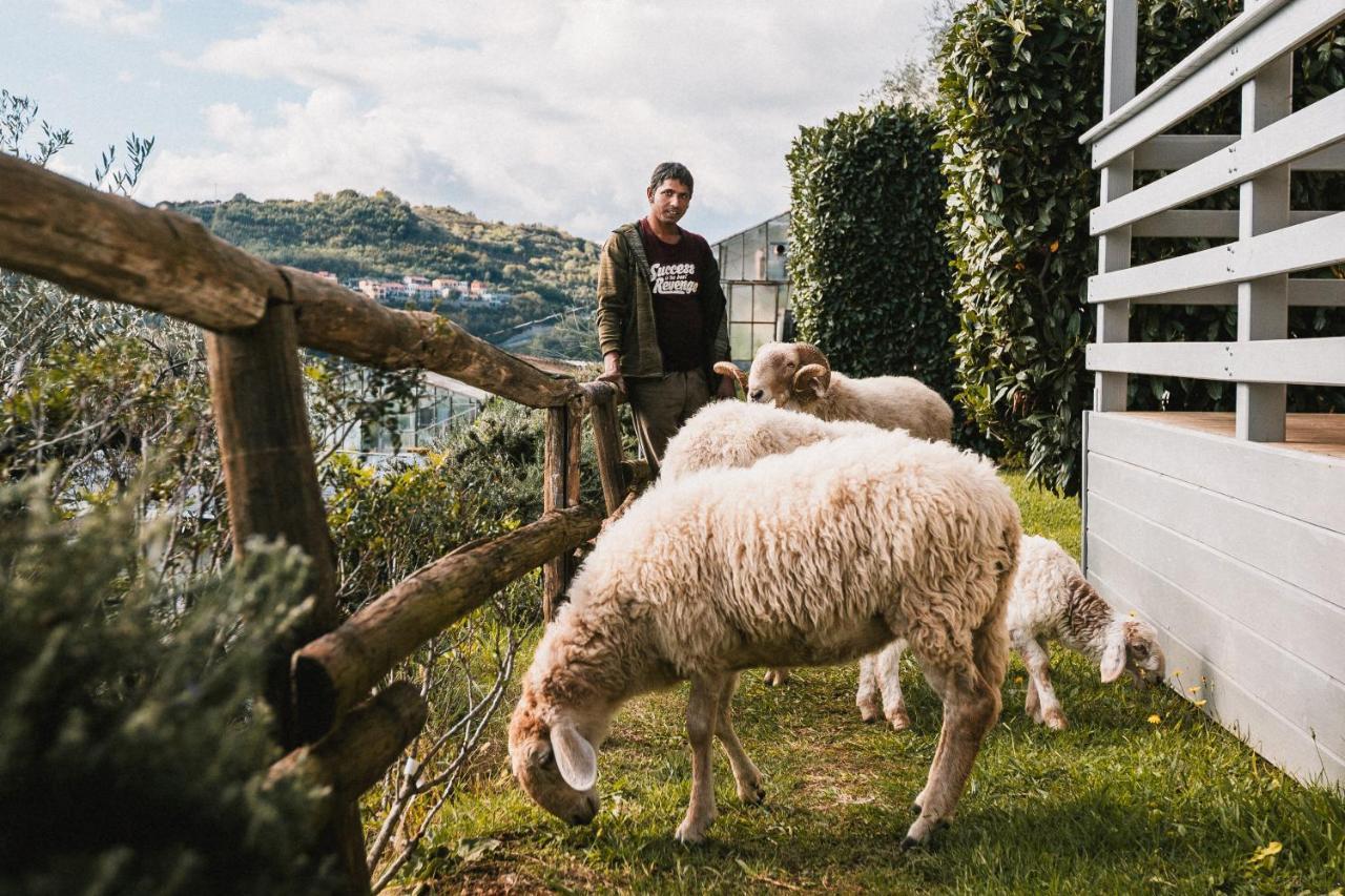 Agriturismo Rose Di Pietra ピエトラ・リーグレ エクステリア 写真