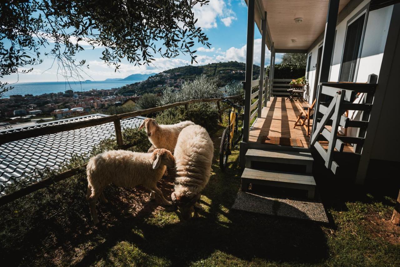 Agriturismo Rose Di Pietra ピエトラ・リーグレ エクステリア 写真