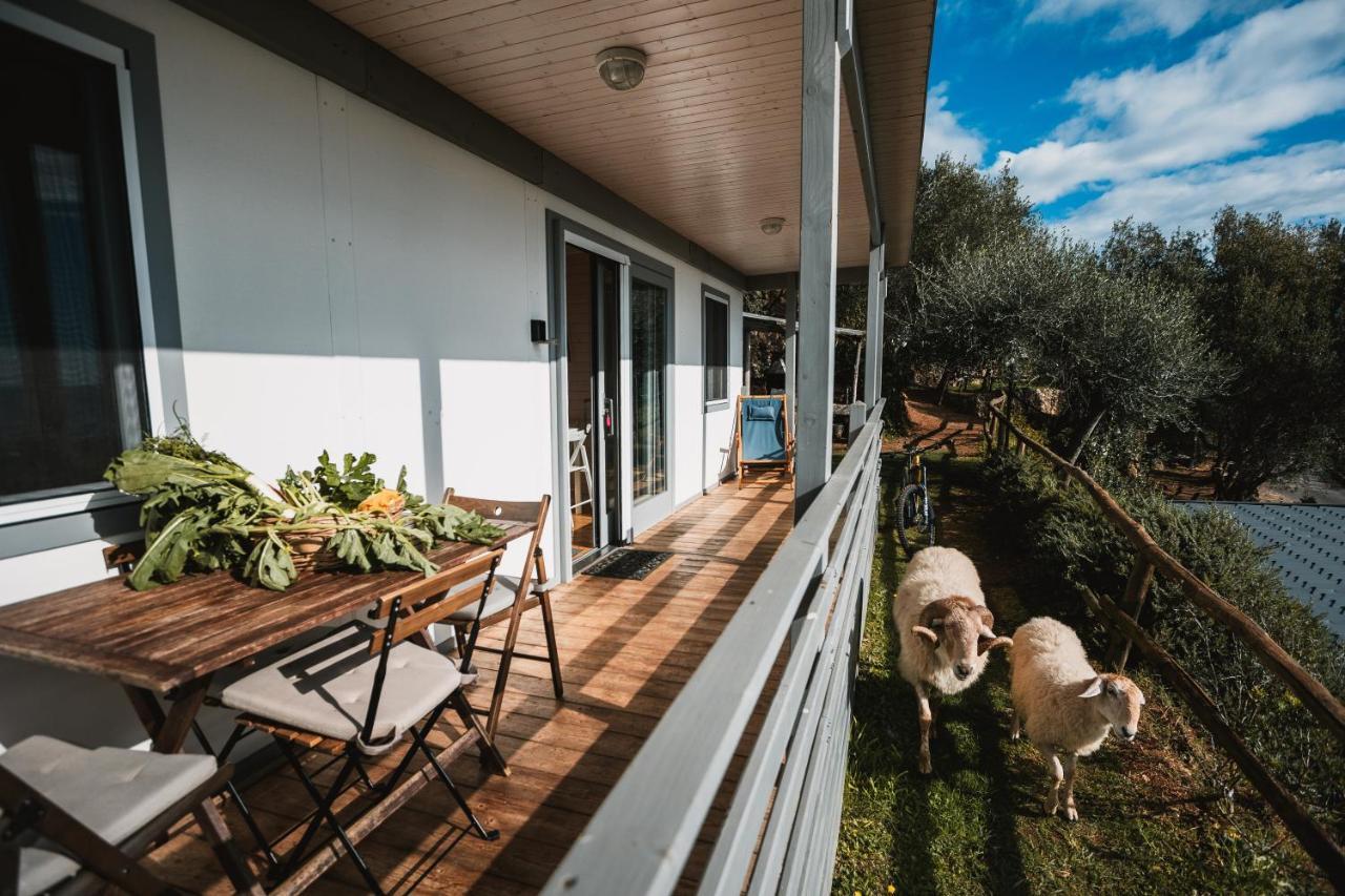 Agriturismo Rose Di Pietra ピエトラ・リーグレ エクステリア 写真