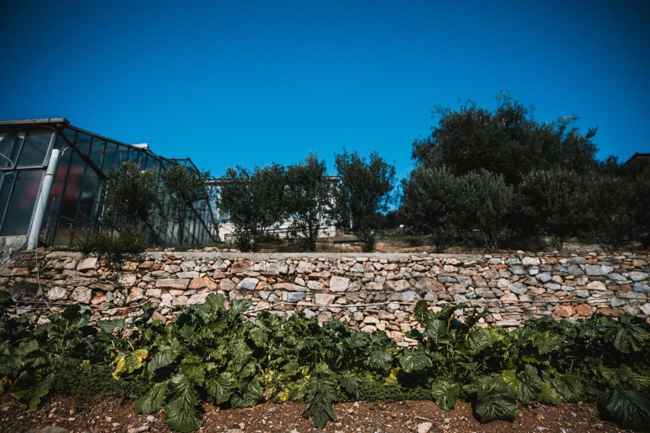 Agriturismo Rose Di Pietra ピエトラ・リーグレ エクステリア 写真