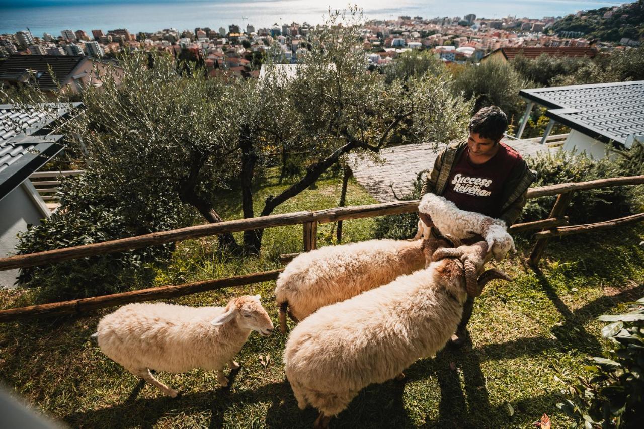 Agriturismo Rose Di Pietra ピエトラ・リーグレ エクステリア 写真