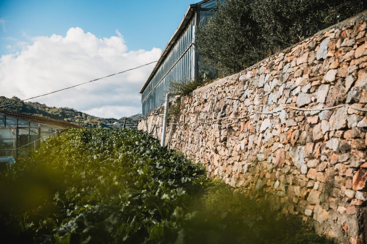 Agriturismo Rose Di Pietra ピエトラ・リーグレ エクステリア 写真